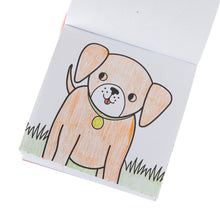 Load image into Gallery viewer, Carry Along Colouring Book Set - Pet Pals