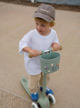 Load image into Gallery viewer, PRE-ORDER | Banwood Basket Pin Set - Dinosaurs