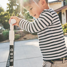 Load image into Gallery viewer, Dove White Birdie Scooter