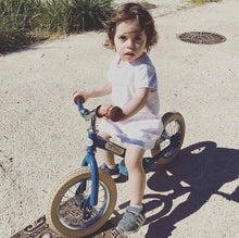 Load image into Gallery viewer, Trybike | Vintage Blue