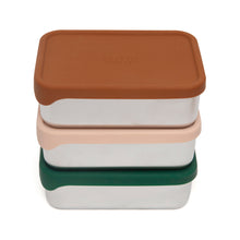 Load image into Gallery viewer, Stainless Steel Lunchbox - Dawn Rose