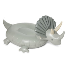 Load image into Gallery viewer, Dino Float