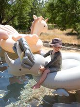Load image into Gallery viewer, Dino Float