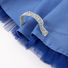 Load image into Gallery viewer, Blue Bird Costume