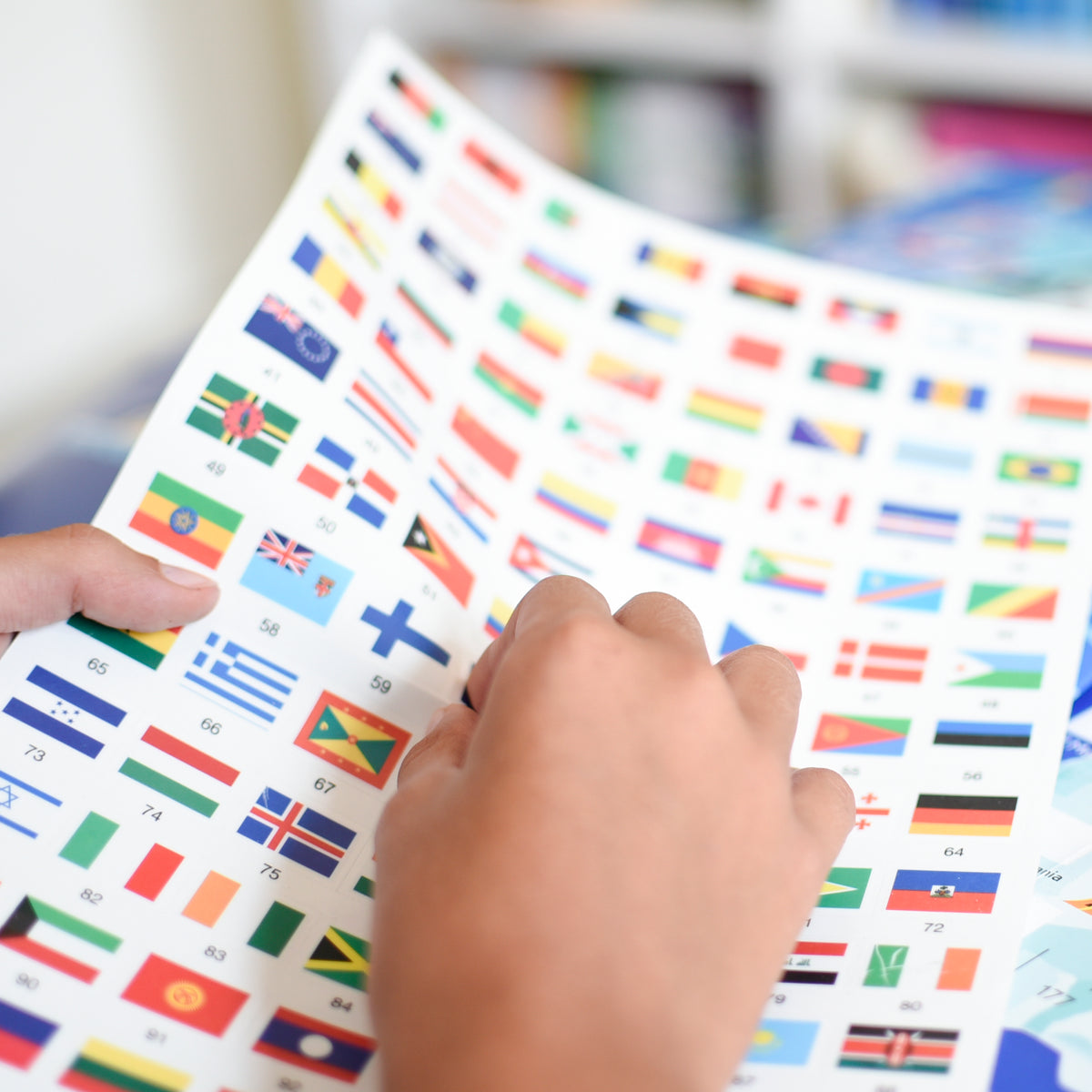My Giant Poster & Sticker Set | Flags of the World – the outdoor kid.