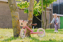 Load image into Gallery viewer, Trybike Wicker Basket