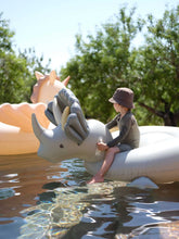 Load image into Gallery viewer, Dino Float