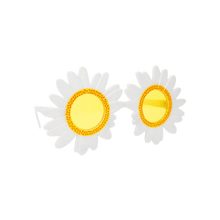 Load image into Gallery viewer, Daisy Sunnies
