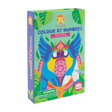 Load image into Gallery viewer, Colour by Numbers - The Tropics
