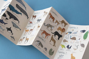 Animal Planet Puzzle - Look & Find Puzzle