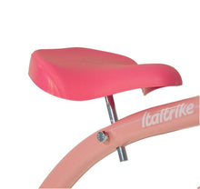 Load image into Gallery viewer, Classic Tricycle | Rose Garden
