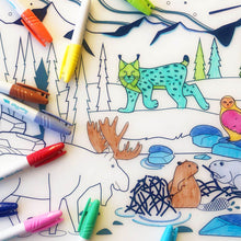 Load image into Gallery viewer, Silicone Colouring Set | Wildlife Forest
